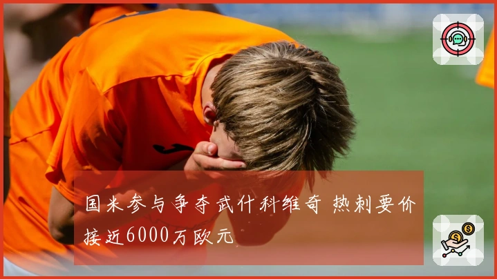 国米参与争夺武什科维奇 热刺要价接近6000万欧元