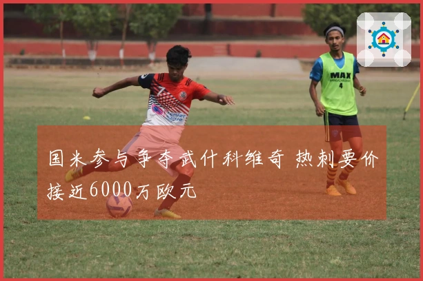 国米参与争夺武什科维奇 热刺要价接近6000万欧元
